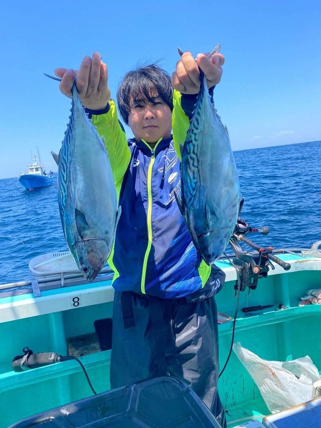 スマガツオ(スマ)