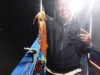 マイカ(ケンサキイカ)