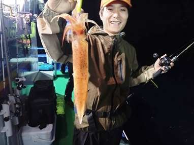 マイカ(ケンサキイカ)