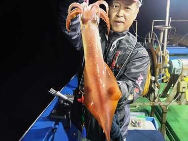 マイカ(ケンサキイカ)