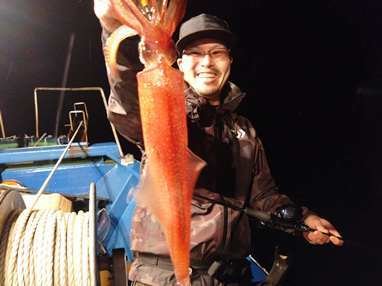 マイカ(ケンサキイカ)