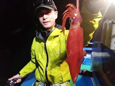 マイカ(ケンサキイカ)