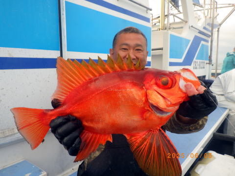 キントキ(チカメキントキ)