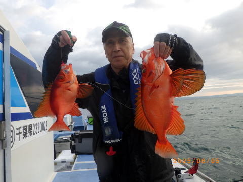 キントキ(チカメキントキ)