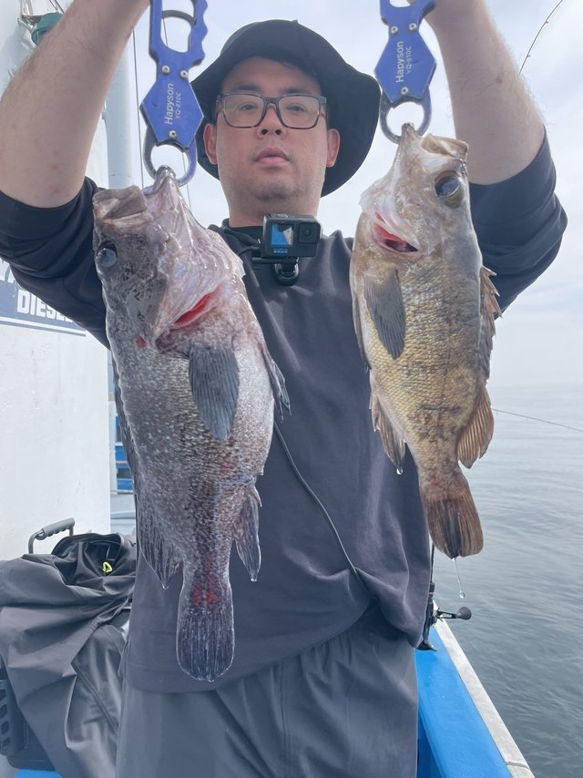 メバル・マゾイ(キツネメバル)