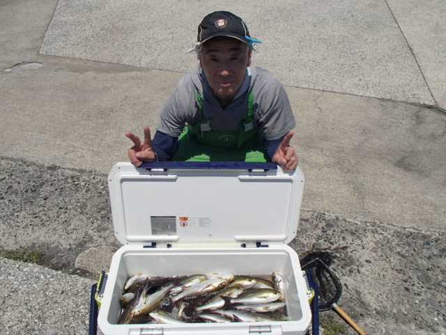 マアジ・イサキ