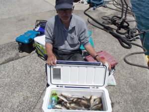 マアジ・イサキ