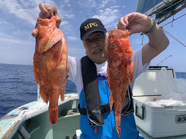 オニカサゴ・カンコ(ウッカリカサゴ)