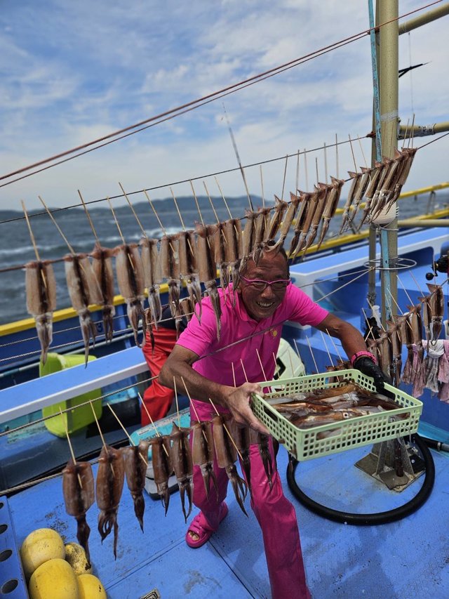 ムギイカ(スルメイカ)