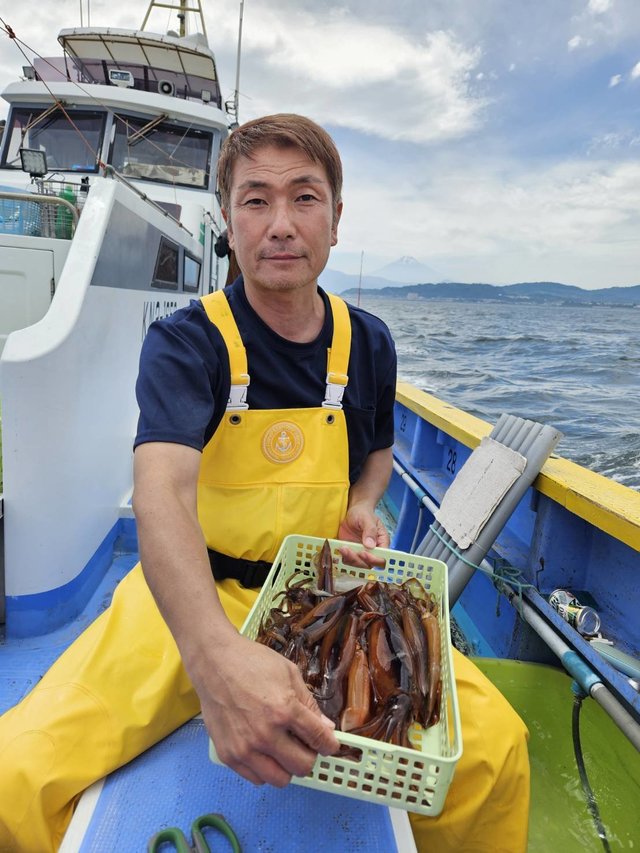 ムギイカ(スルメイカ)