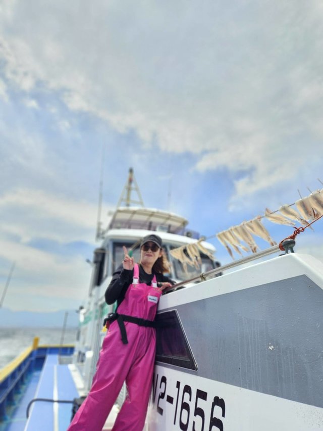 ムギイカ(スルメイカ)