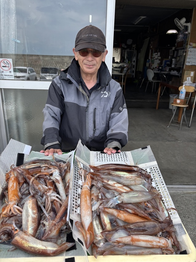 ムギイカ(スルメイカ)