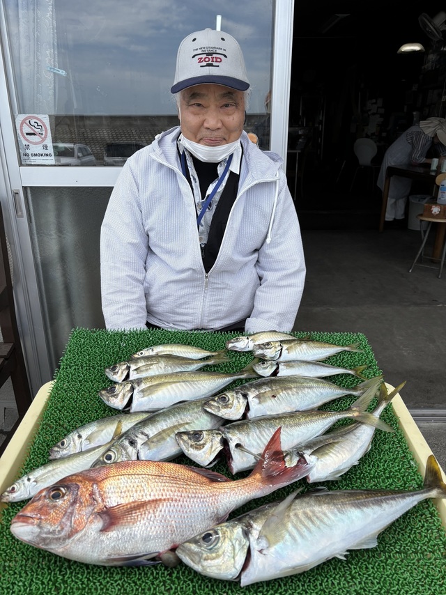 マダイ・アジ(マアジ)