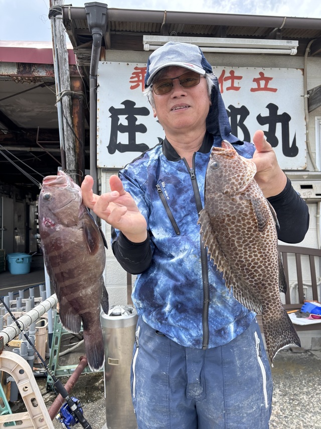 オオモンハタ・ハタ(マハタ)