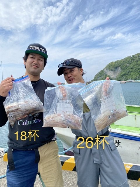 マルイカ(ケンサキイカ)