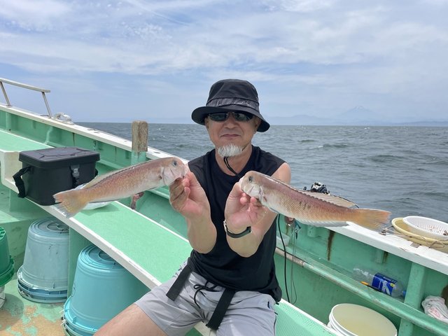 アマダイ(アカアマダイ)