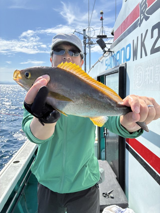 イサギ(イサキ)