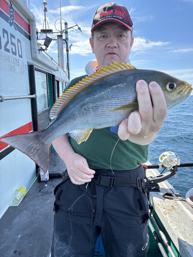 イサギ(イサキ)