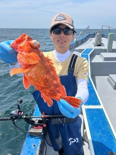 カンコ(ウッカリカサゴ)