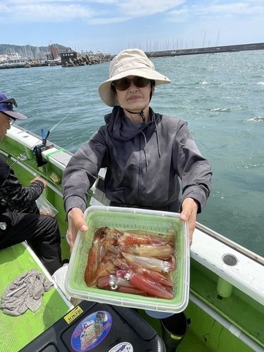 マルイカ(ケンサキイカ)