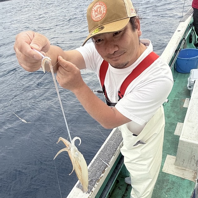 ムギイカ(スルメイカ)