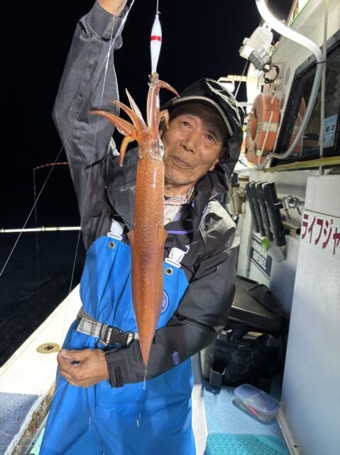 マイカ(ケンサキイカ)