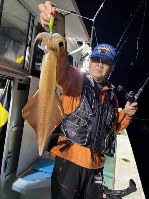 マイカ(ケンサキイカ)