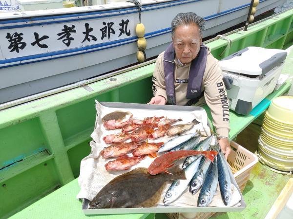 カサゴ・ホウボウ・ヒラメ・サバ(ゴマサバ)