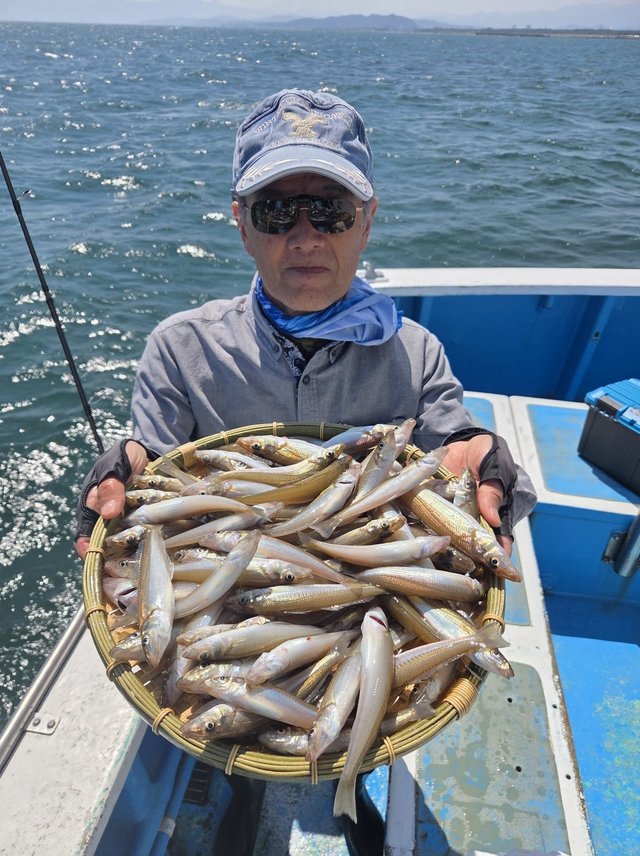 シロキス(シロギス)