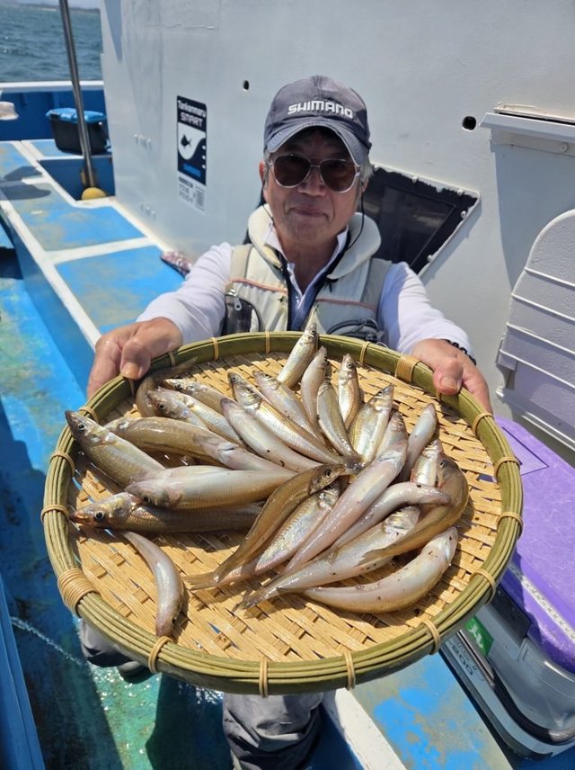 シロキス(シロギス)