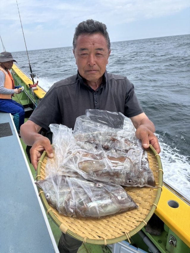 ムギイカ(スルメイカ)