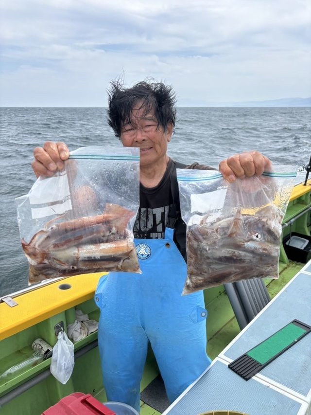 ムギイカ(スルメイカ)