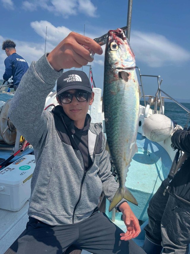 サバ(ゴマサバ)