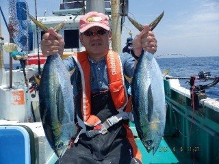 キメジ(キハダ)