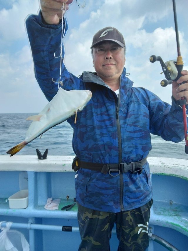 ショウサイフグ