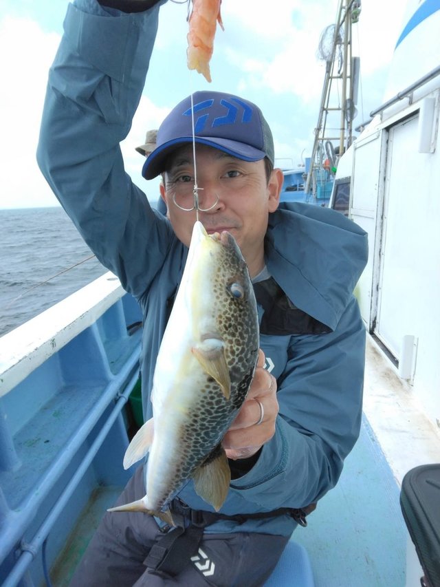 ショウサイフグ