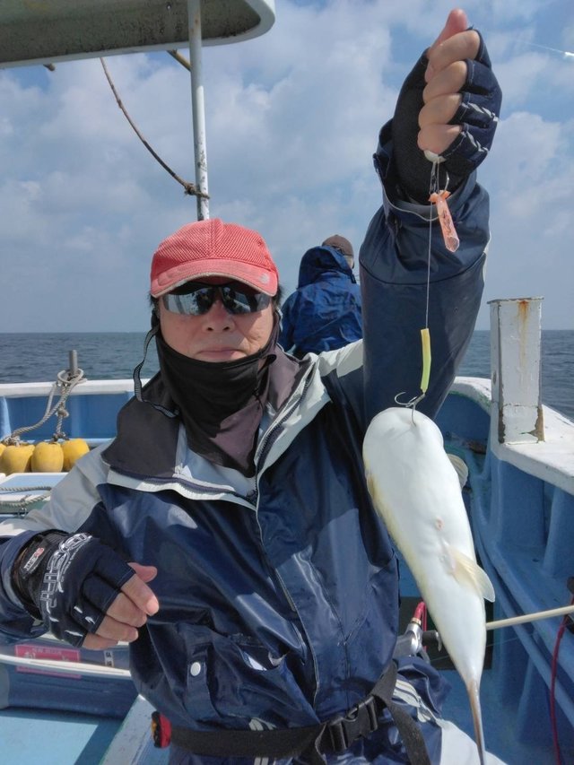 ショウサイフグ