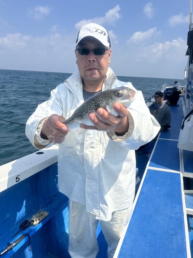 フグ(ショウサイフグ)