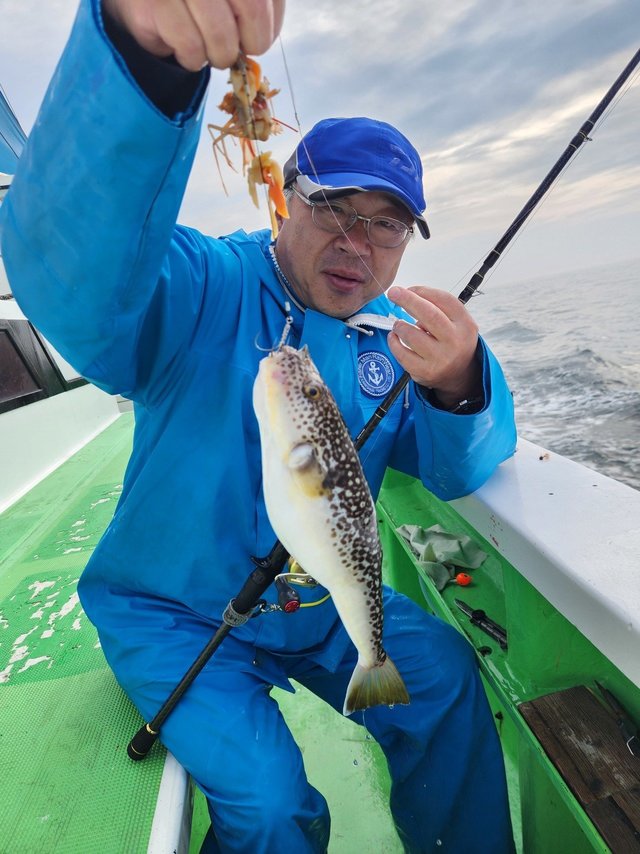 ショウサイフグ