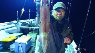 マイカ(ケンサキイカ)