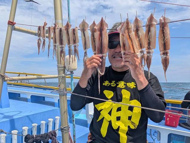 ムギイカ(スルメイカ)