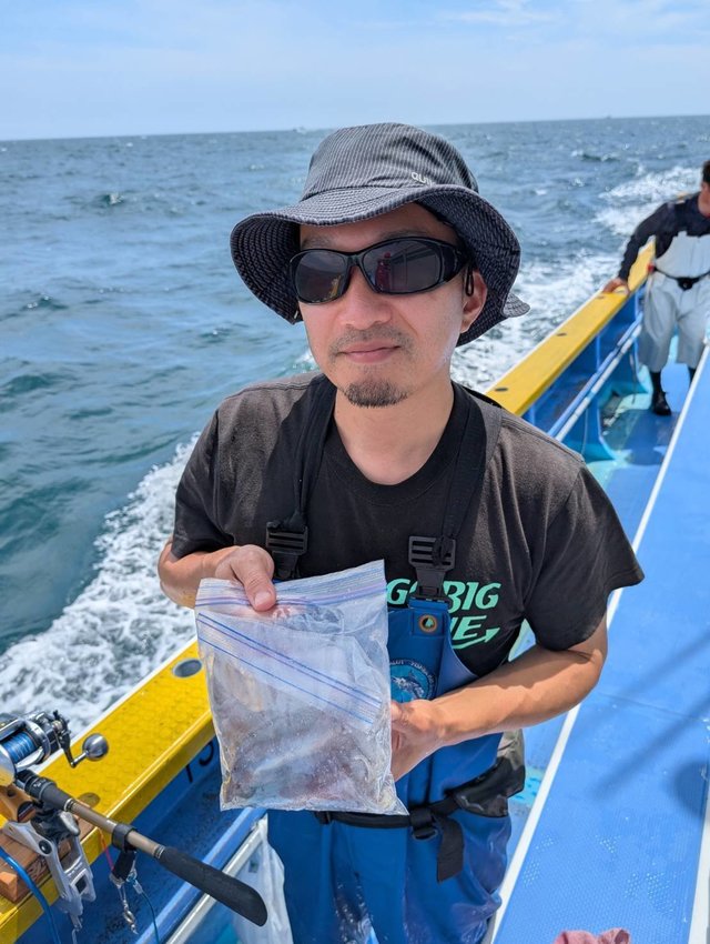 ムギイカ(スルメイカ)