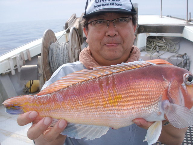 アマダイ(アカアマダイ)