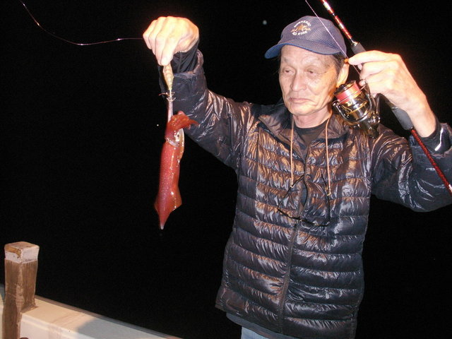 イカ(ケンサキイカ)