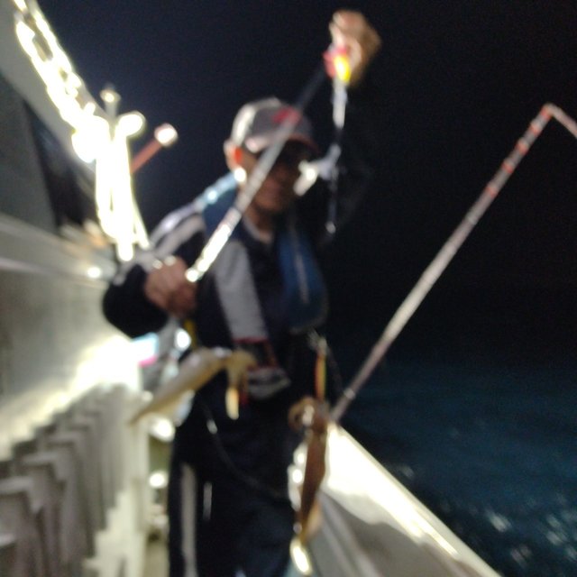 イカ(ケンサキイカ)