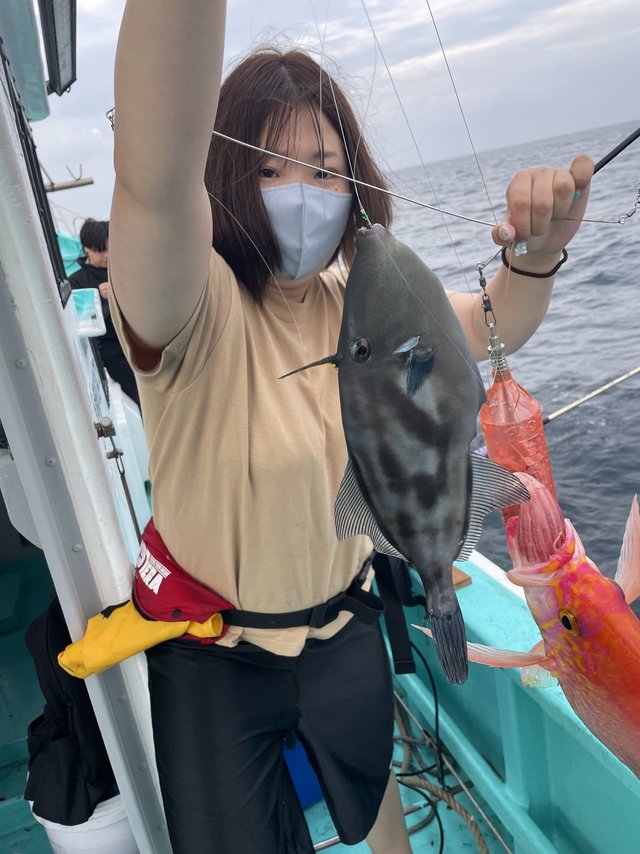 ウマズラ(ウマヅラハギ)