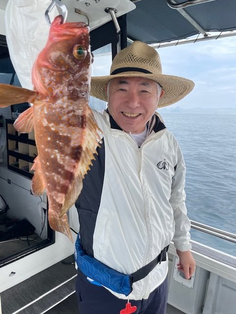 アコウ(キジハタ)