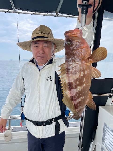 アコウ(キジハタ)