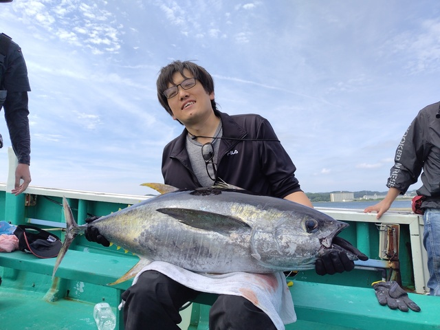 キハダマグロ(キハダ)