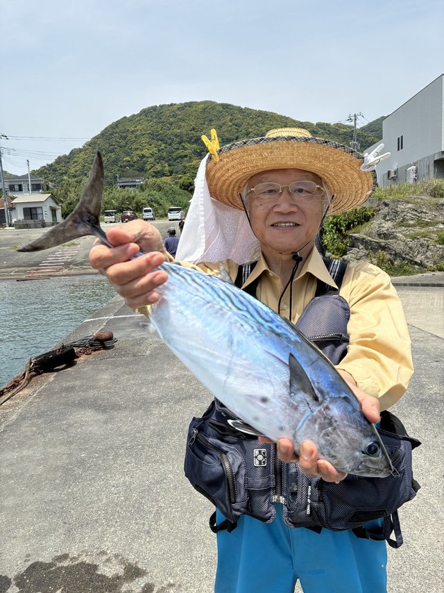 スマガツオ(スマ)